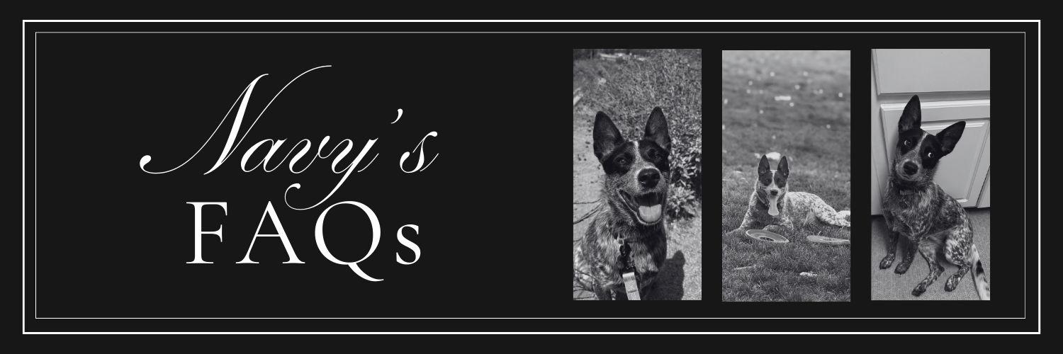 The Wedding Website of Destiny Boyer and Christian Venegas