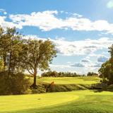 Chaska Town Course
