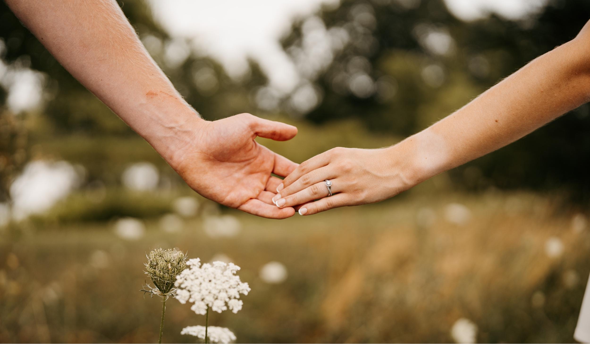 The Wedding Website of Brooke Anderson and Braden Sabine