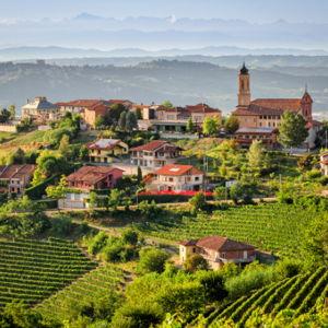 Wine Tasting & Vineyard Tour in Italy