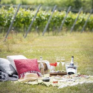 Picnic romántico en los viñedos