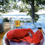 Abel's Lobster