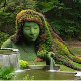 Atlanta Botanical Garden
