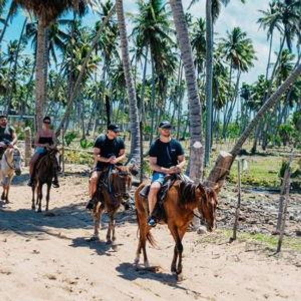 Horses and ATV Experience