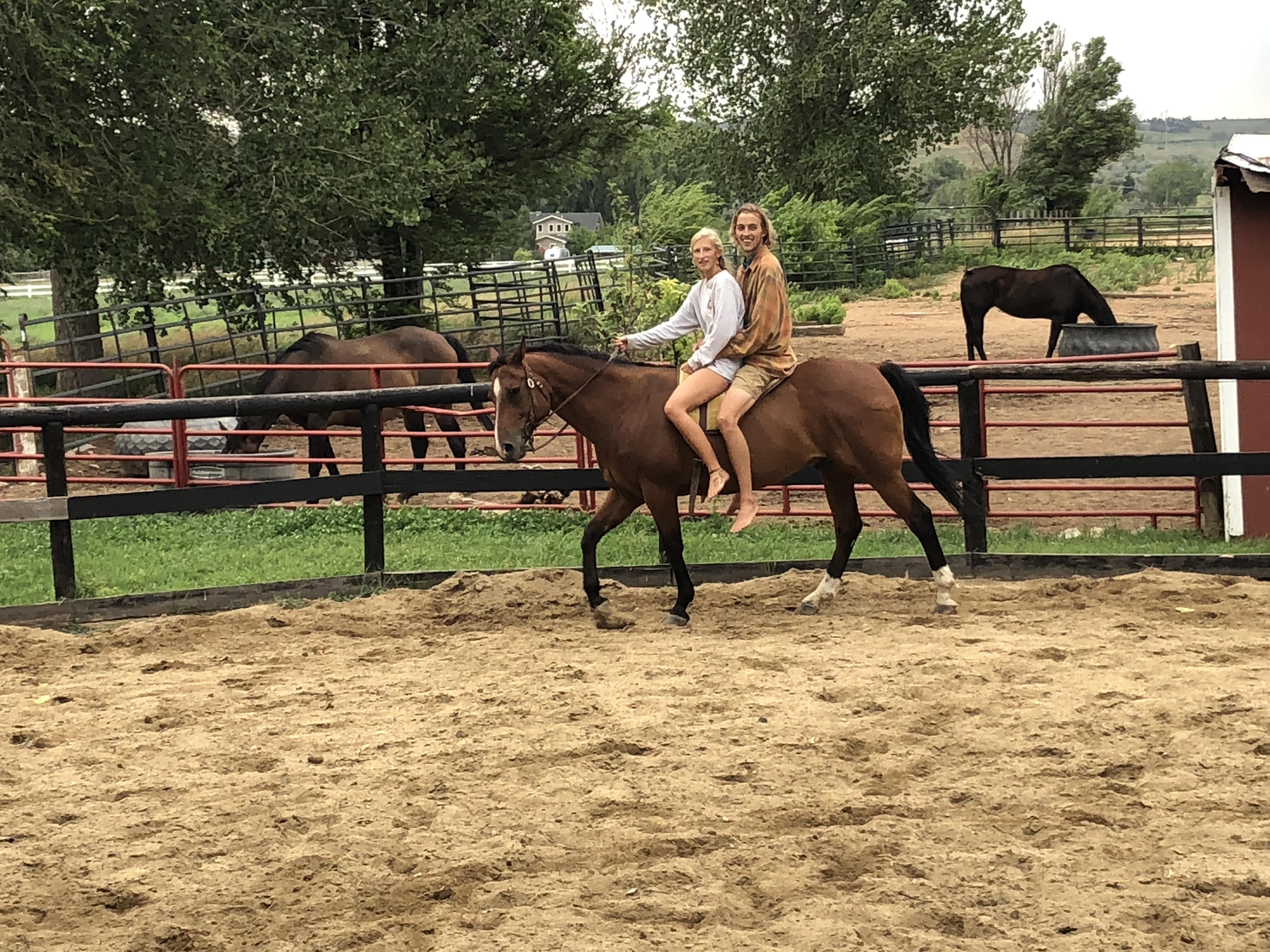 The Wedding Website of Tara Jane Niebur and Sean Bradley Prescott