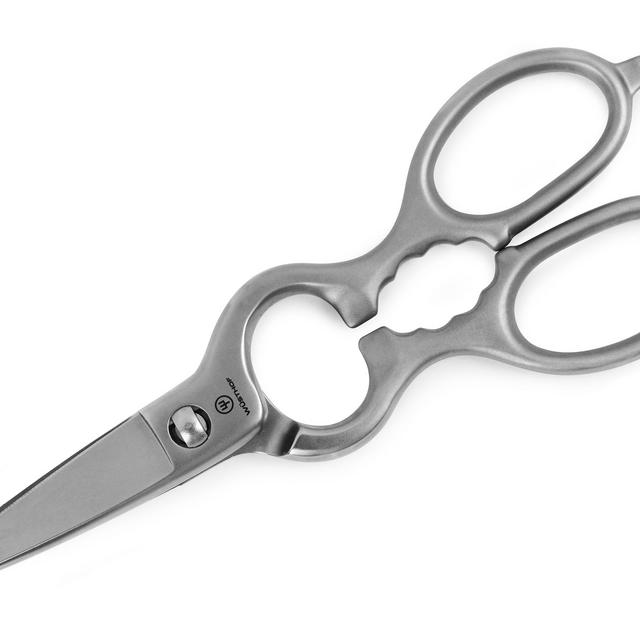 Wusthof Brushed Stainless Steel Come-Apart Kitchen Shears