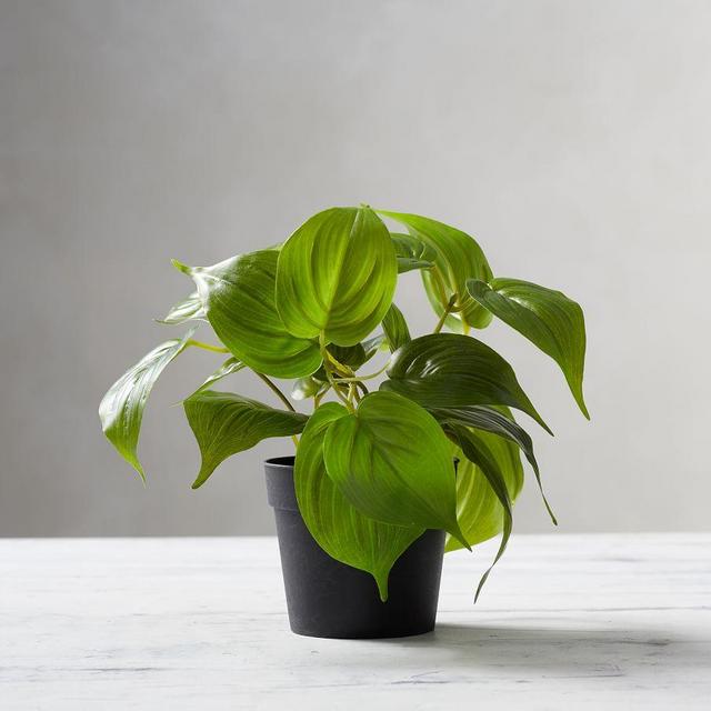 Faux Potted Pothos Houseplant