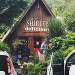 Shirley Delicious