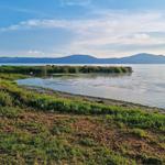 Malecón de los Pelicanos Chapala