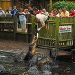 St. Augustine Alligator Farm Zoological Park
