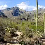 Sabino Canyon