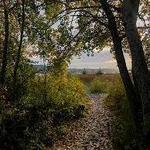 The Peach Preserve Trail