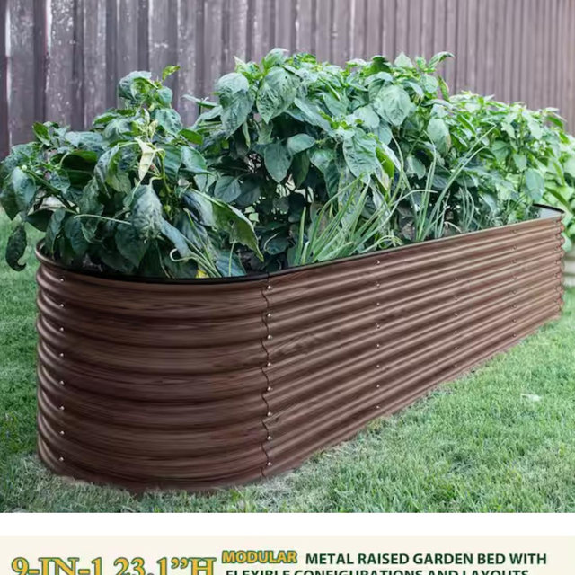 Herbs, veggies, and fruit garden