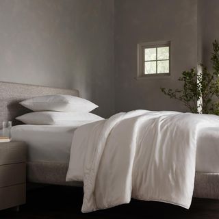 Silk Comforter
