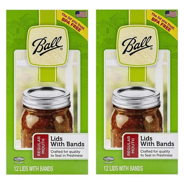 Ball Regular Mouth Lids and Bands (24-Pack)
