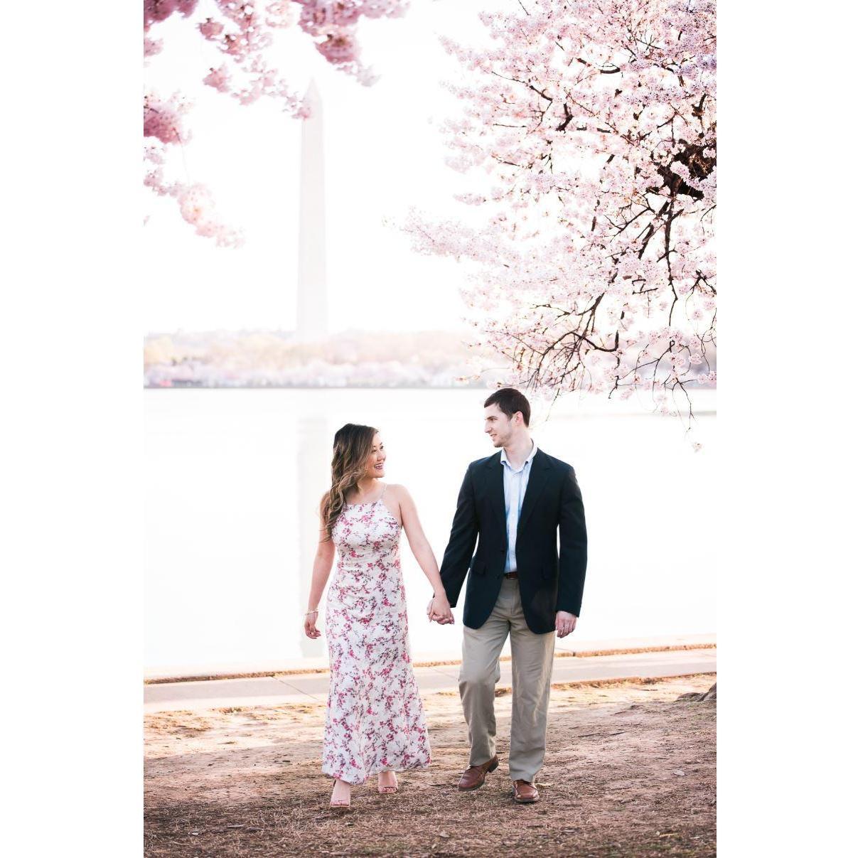 April 2019 Washington D.C. cherry blossom engagement shoot