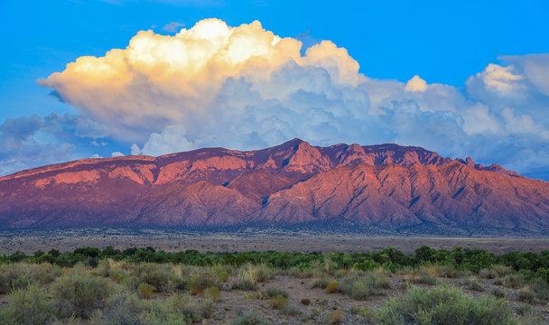 The Wedding Website of Mara McGough-Madueña and Cody Muchow