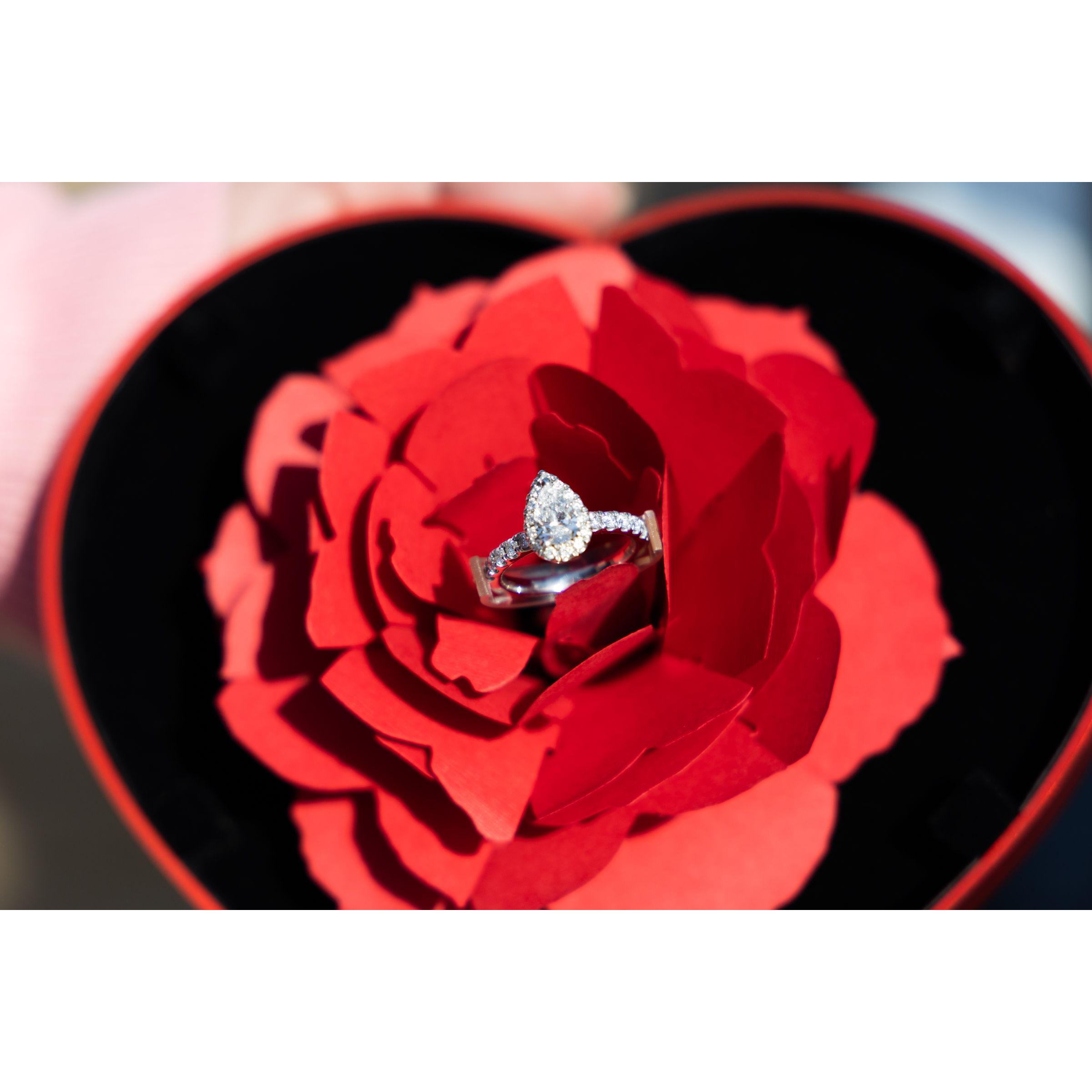 Proposal ring and box.