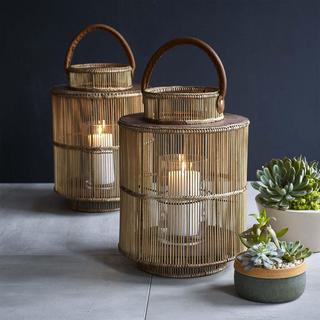 Liana Lantern