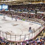 South Carolina Stingrays