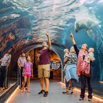 Assiniboine Park Zoo