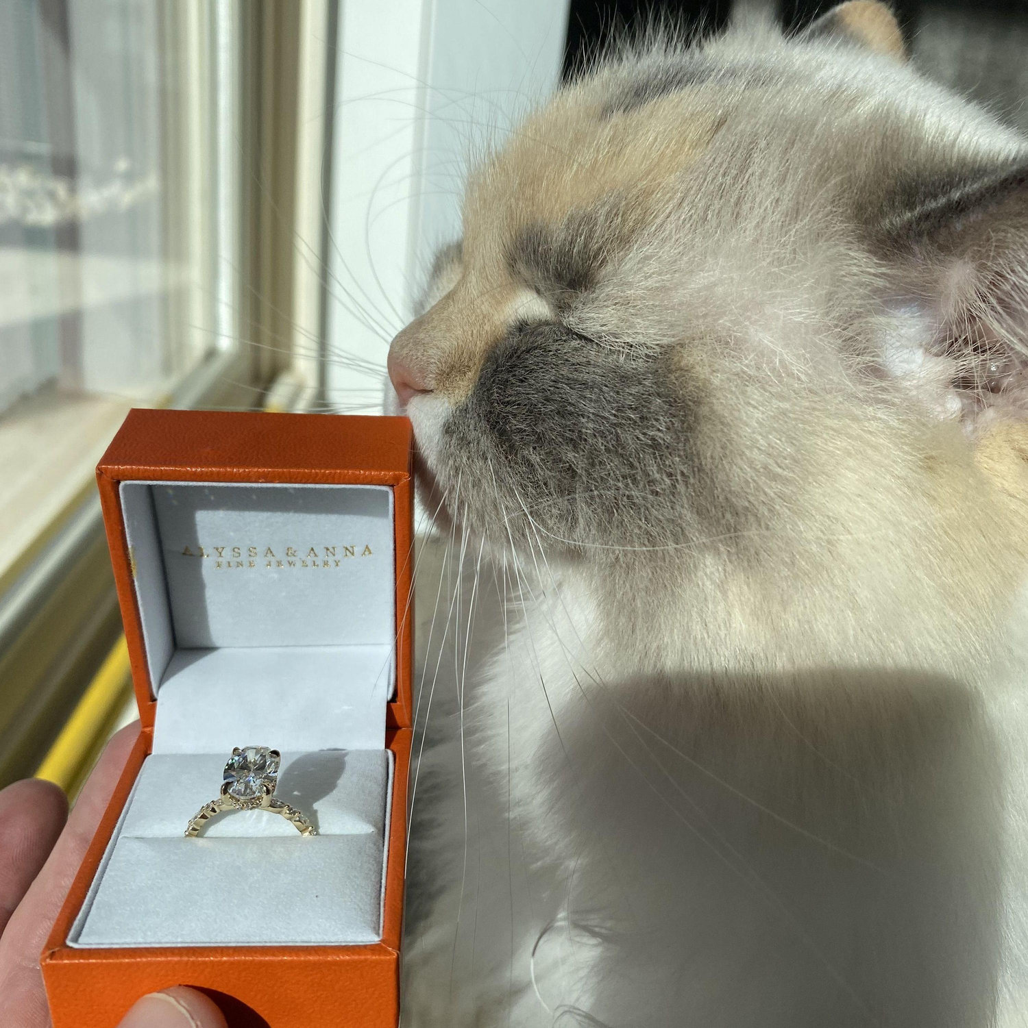 Willow saw the ring 10 months before Gia did!