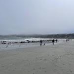 Beach Day