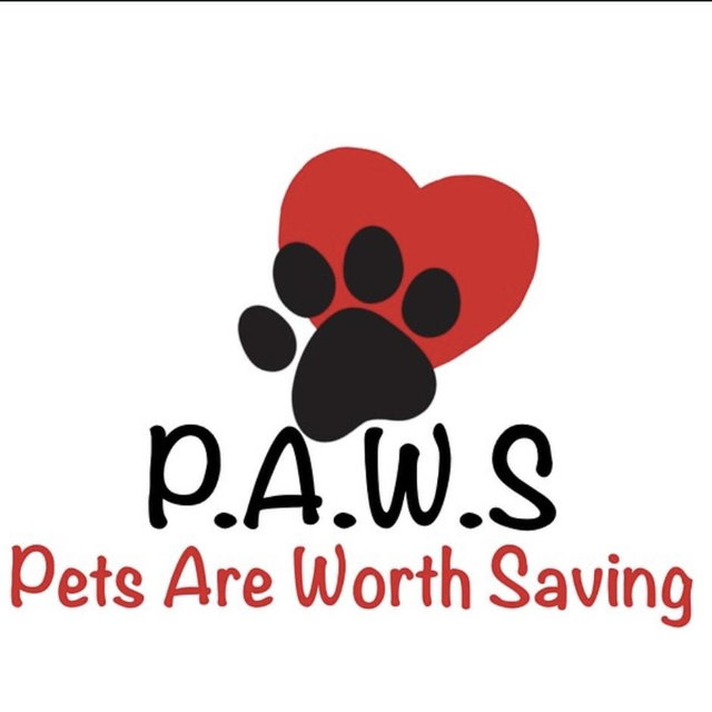 P.A.W.S