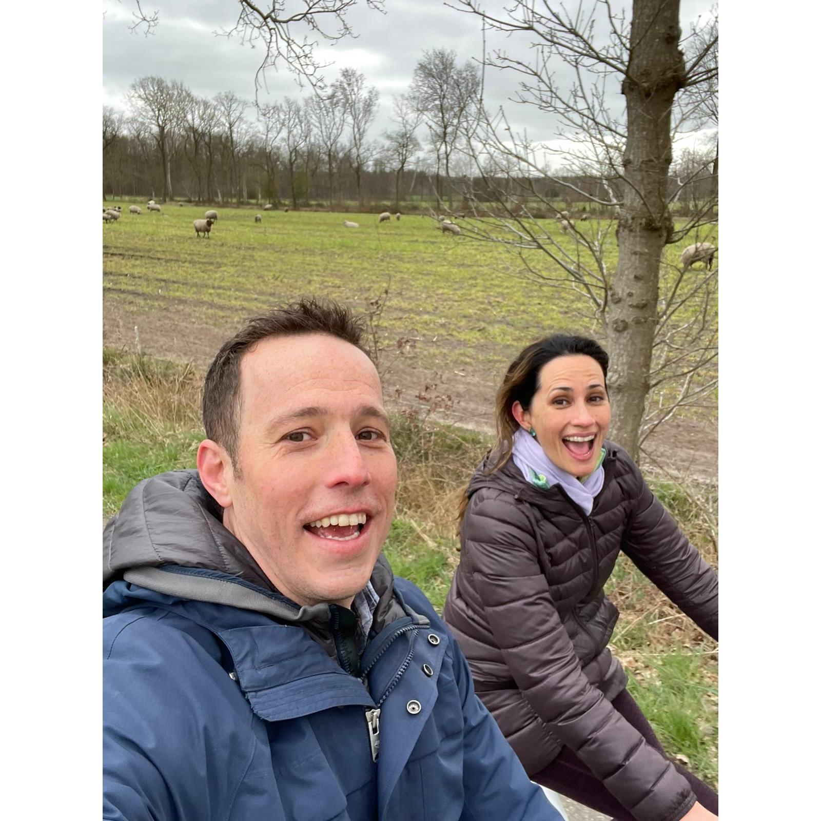 Biking in Fryslan