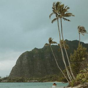 Honeymoon Fund