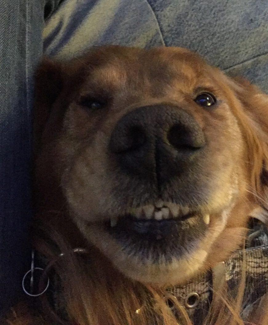 The Wedding Website of Paige Mayes and David Anderson