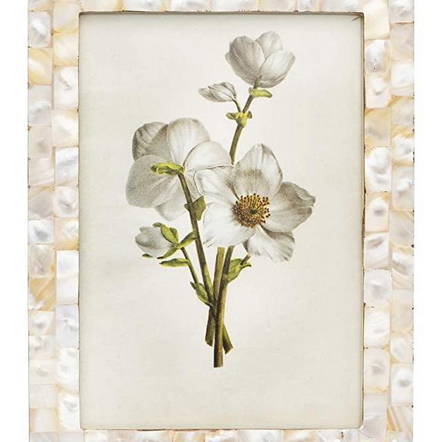 Creative Co-Op Mother of Pearl Holds 5" x 7" Picture Frames and Photo Holders, White