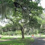 Audubon Park