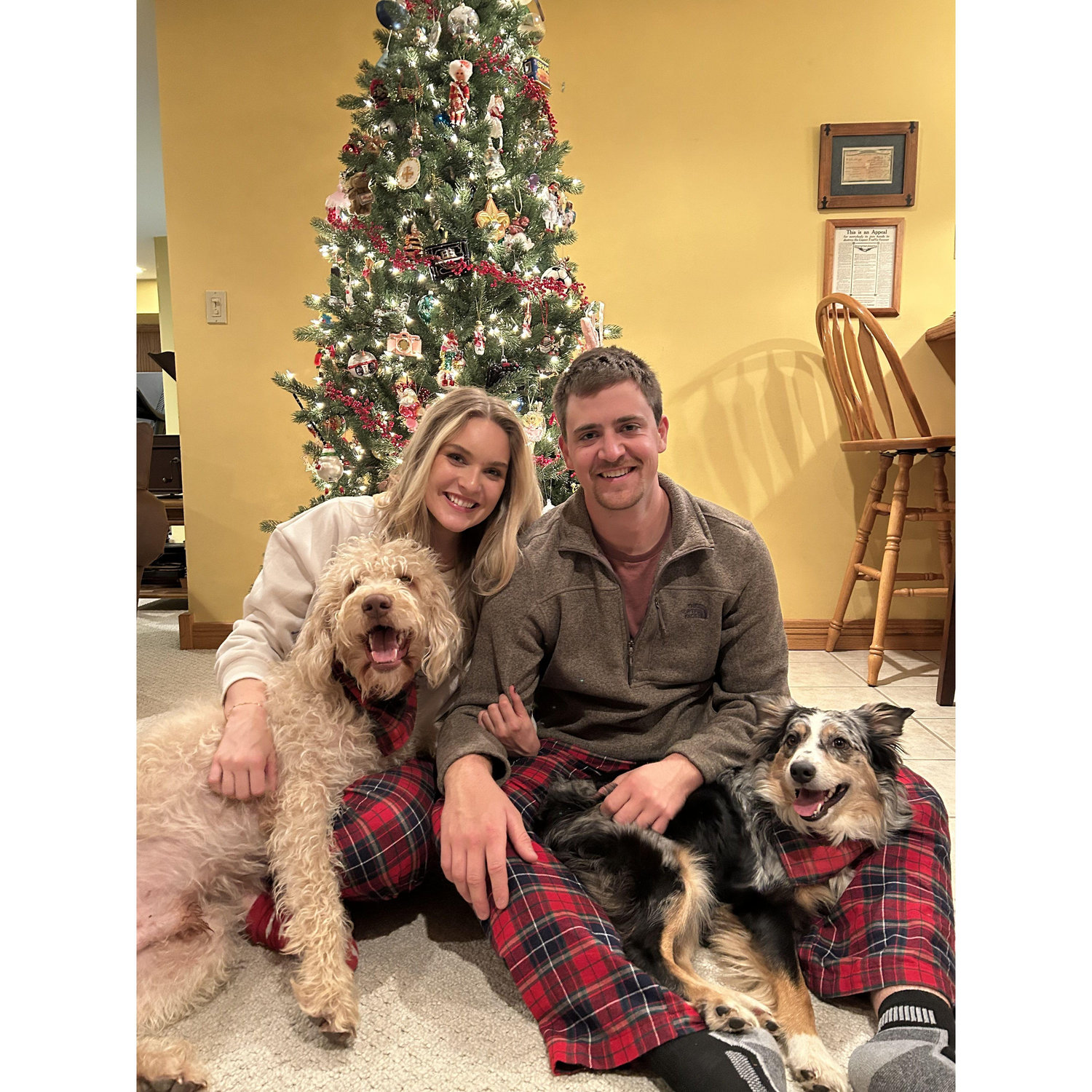 Christmas with our pups