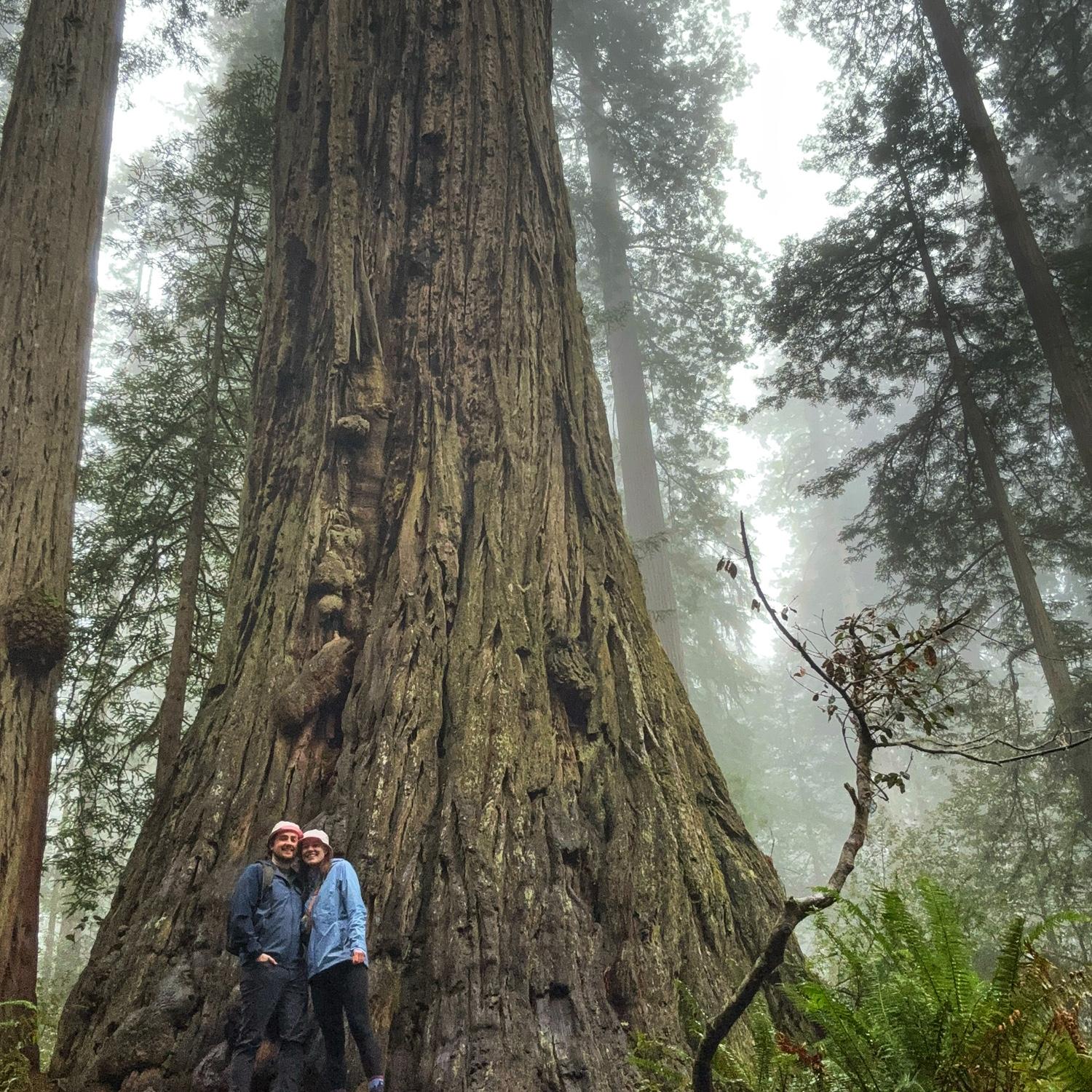Our first National Parks trip (Redwoods), fulfilling a dream of Alison’s to see big trees.
