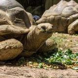 Birmingham Zoo