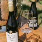 Bohemia Manor Farm Vineyard