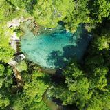 Ichetucknee Springs
