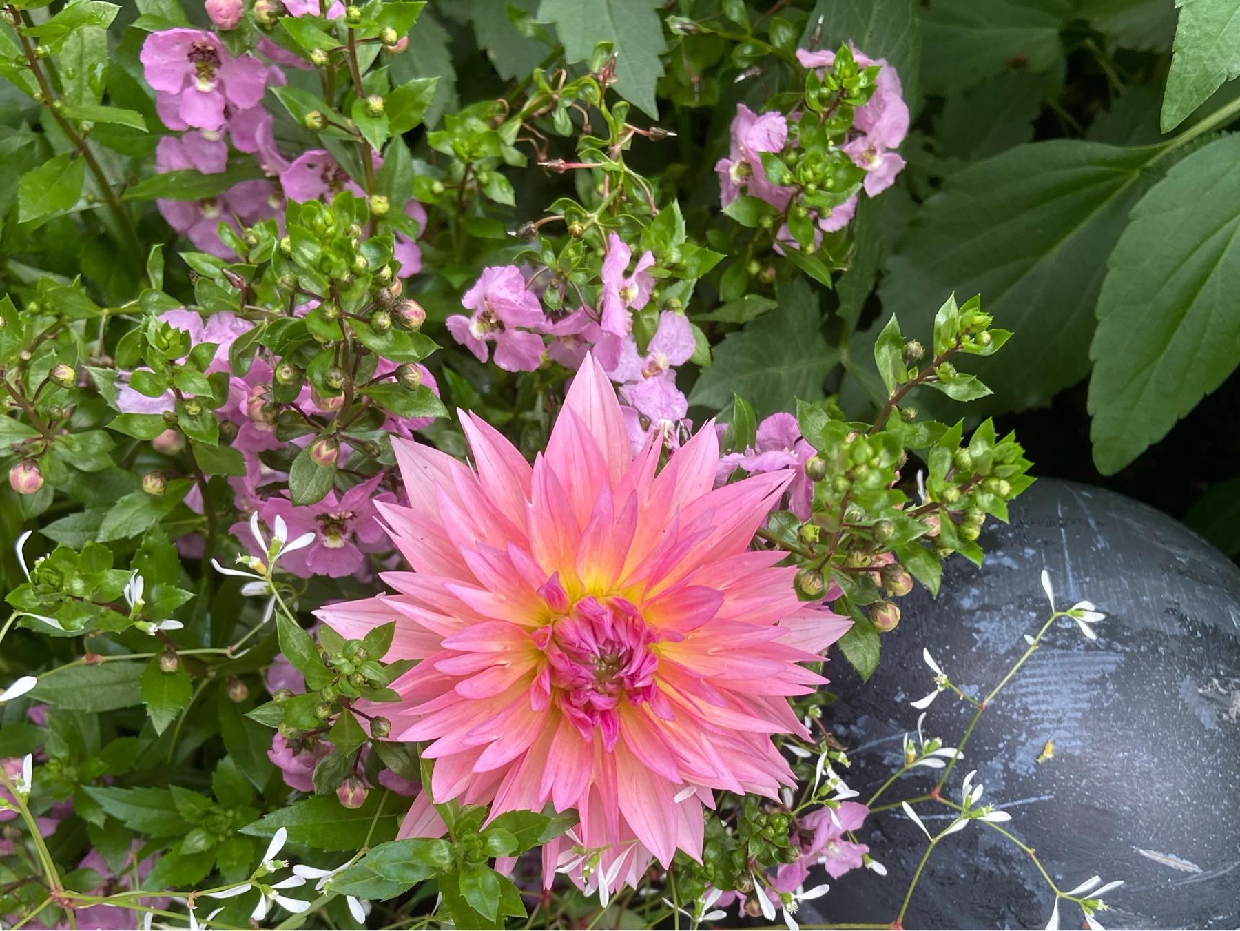 The Wedding Website of Taina Ramos and Martiniano Zamora