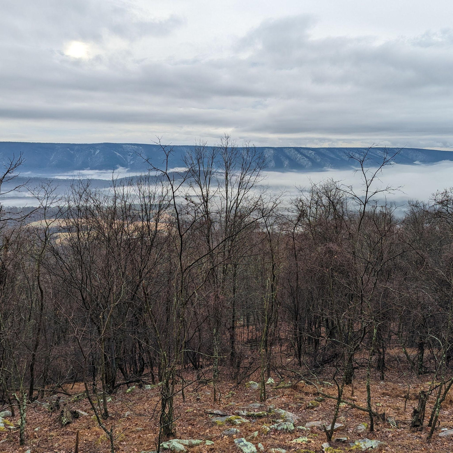 View from our West Virginia cabin