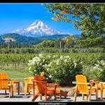 Mt. Hood Winery
