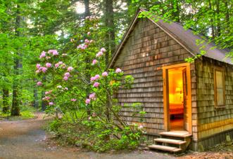 The Wedding Website of Michael Zinkowski and Asia Moore