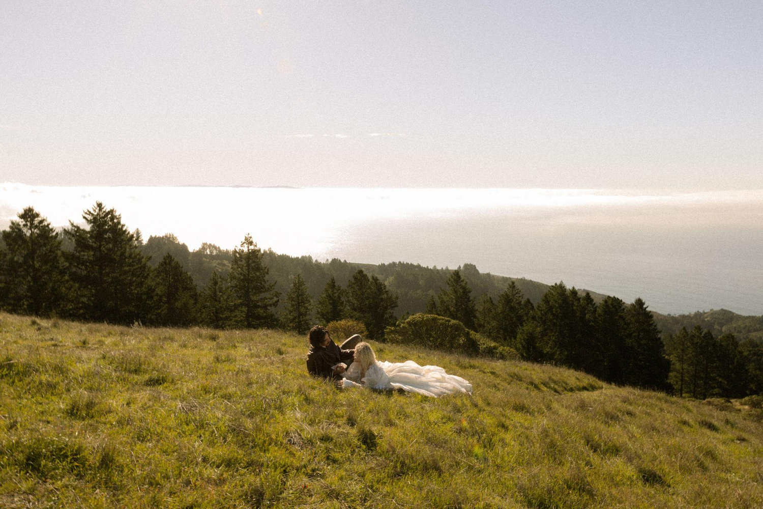 The Wedding Website of Jenny Davidson and Joseph Santiago-Dieppa
