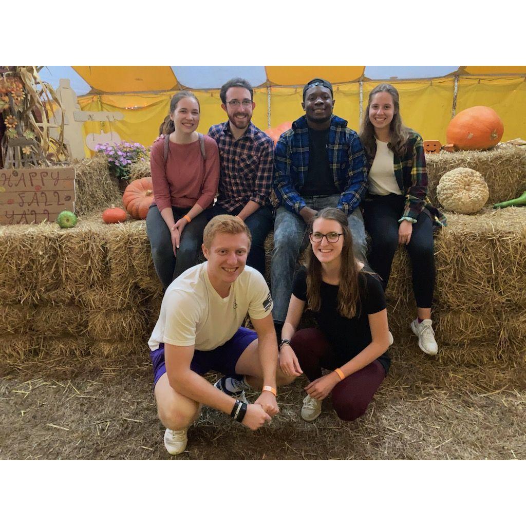 Pumpkin patch and corn maze