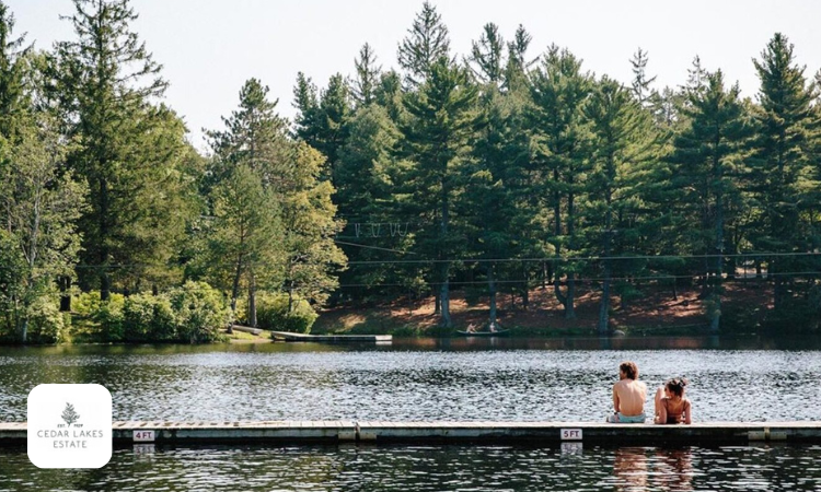 The Wedding Website of Erica Gendell and Andrew Dailey