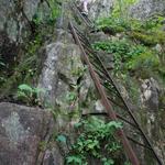 Beech Cliff Trail