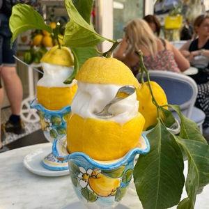 Lemon Adventures on the Amalfi Coast