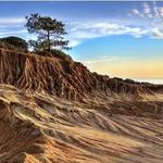 Torrey Pines State Reserve
