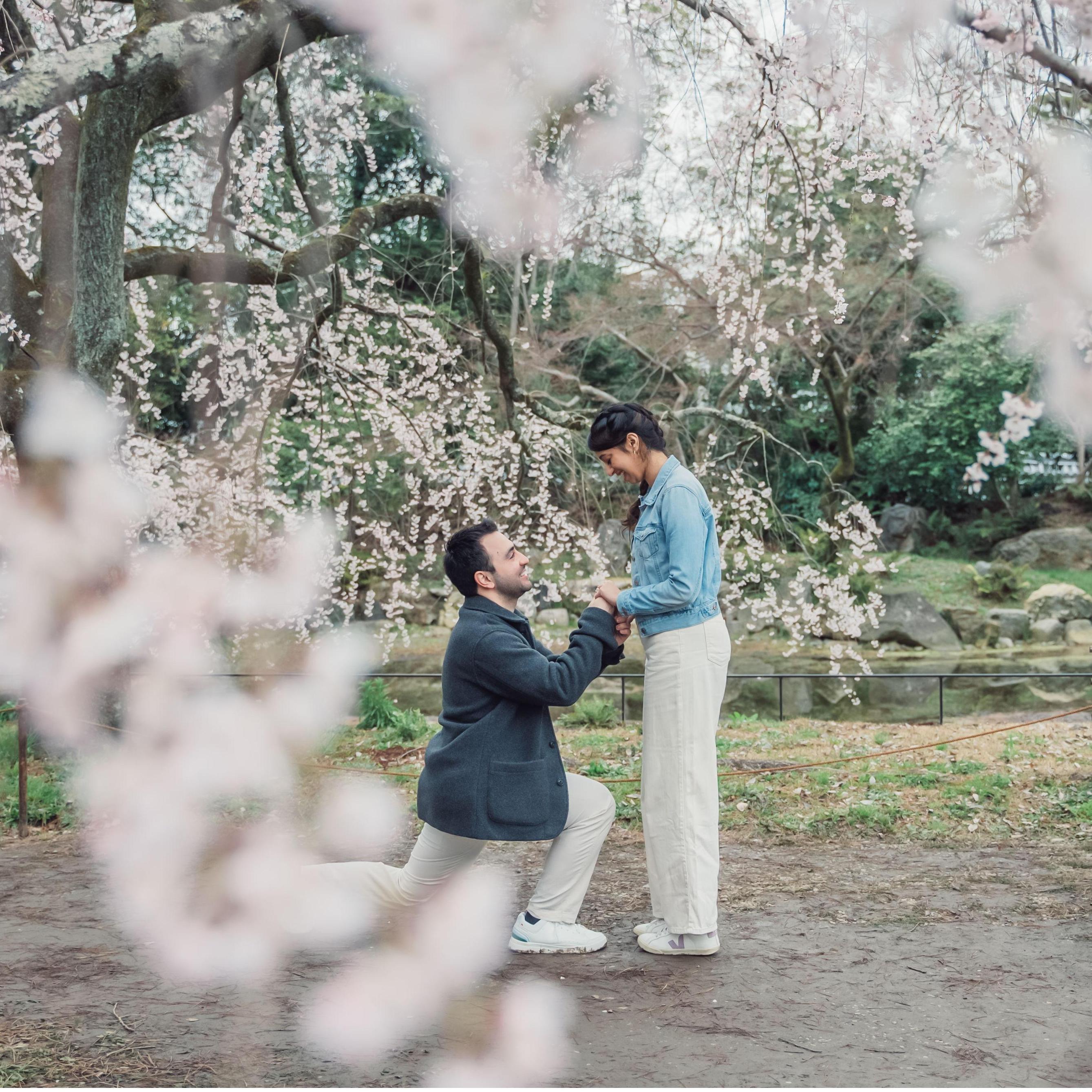 The proposal