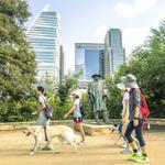 Lady Bird Lake Hike & Bike Trail